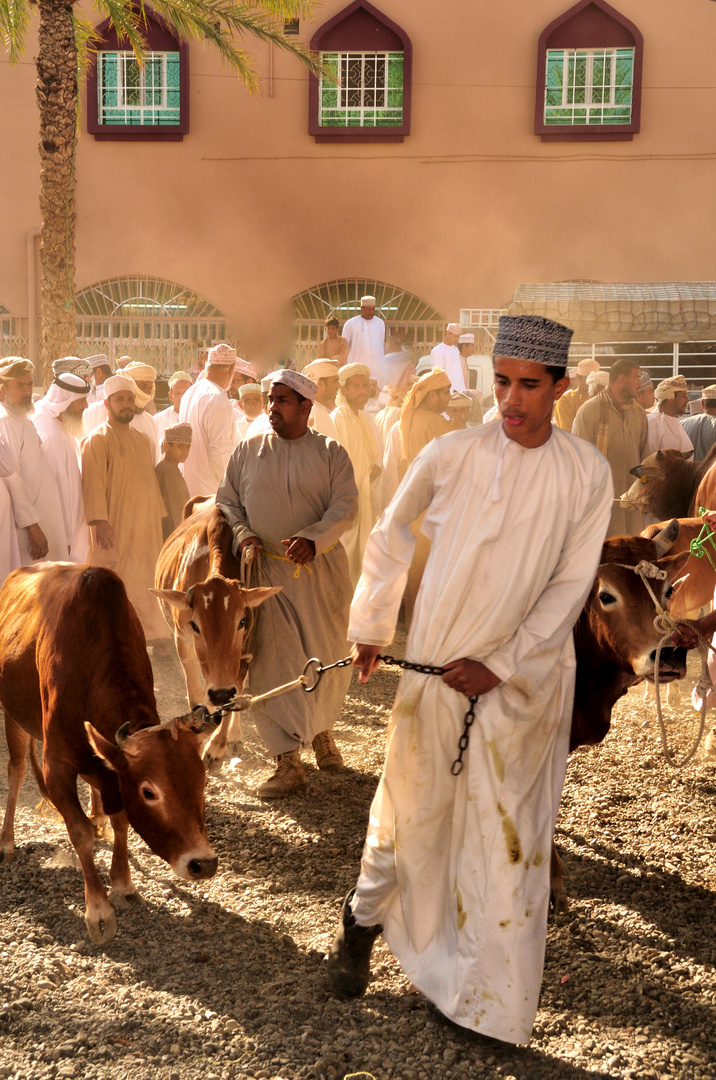 Schaulaufen in Nizwa