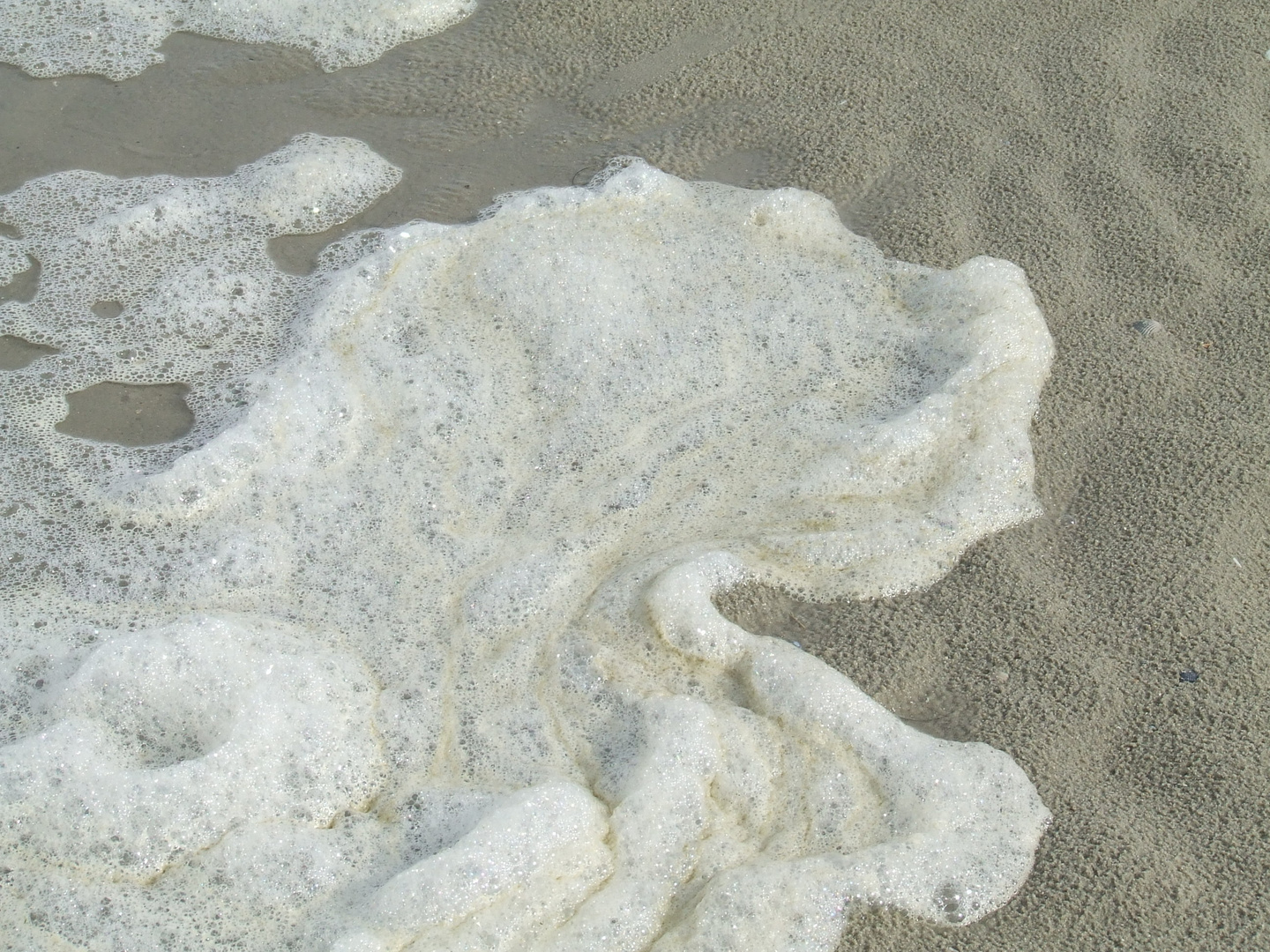 Schaum am Strand