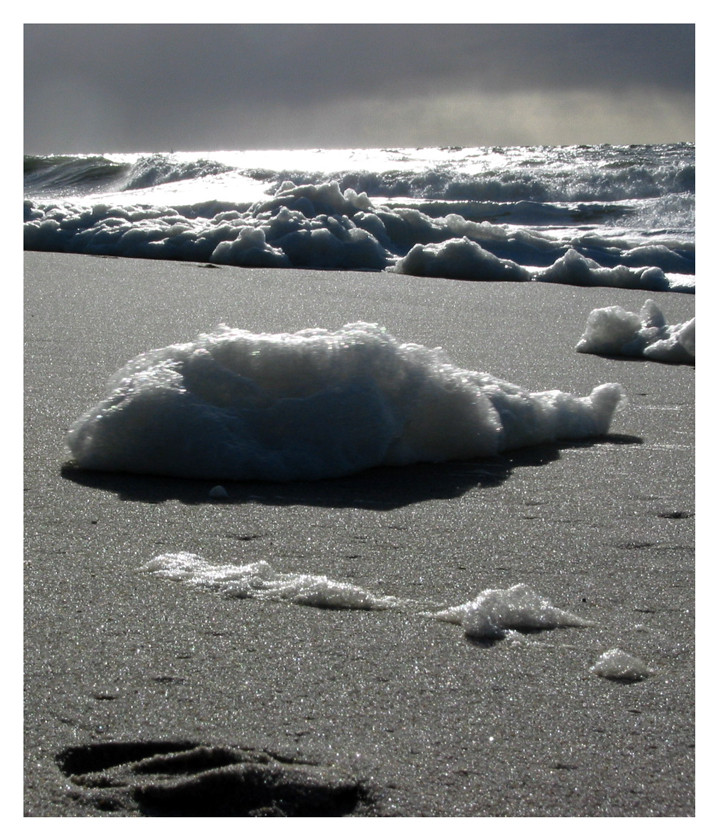 Schaum vor Sylt