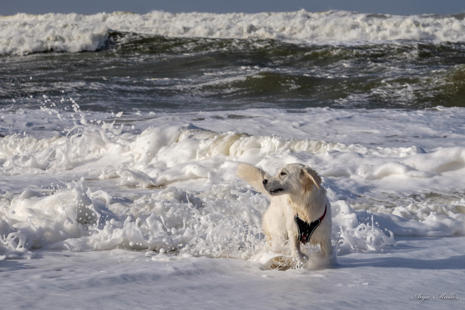 Schaumbad Foto & Bild Bilder auf