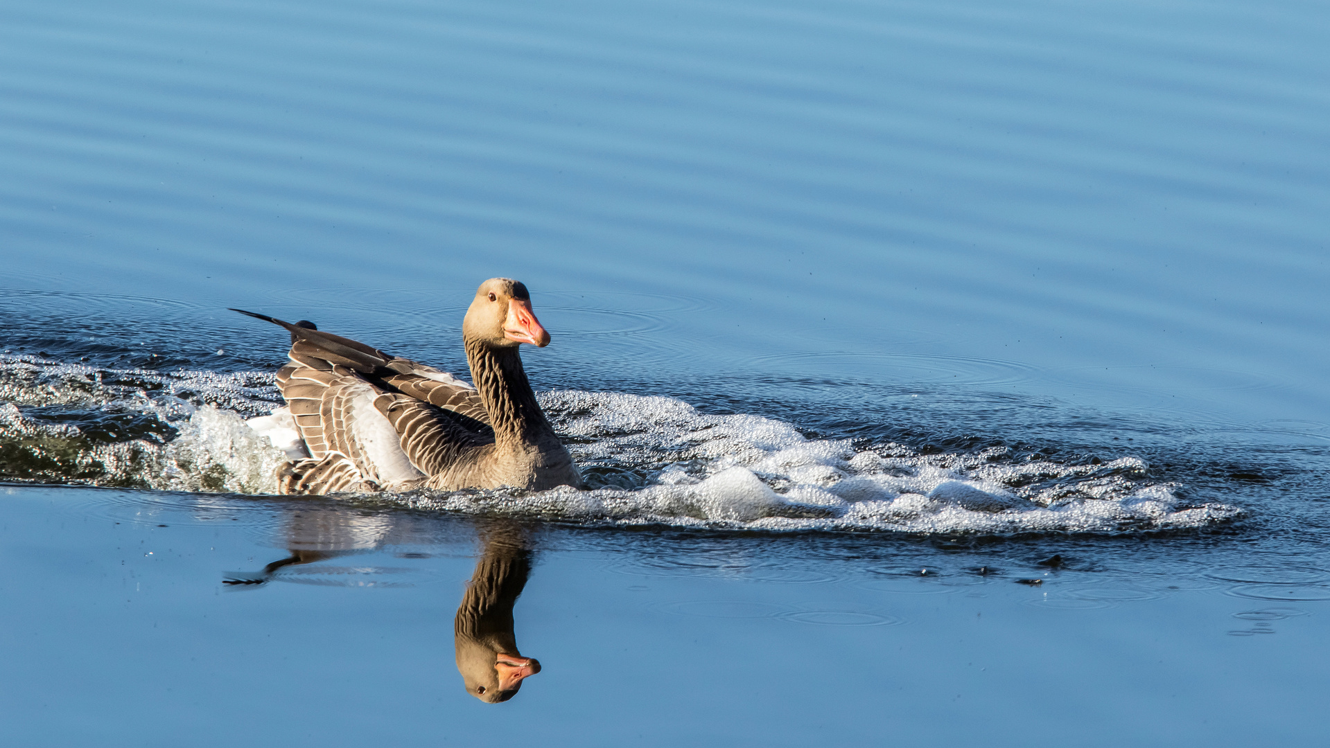 Schaumbad im See