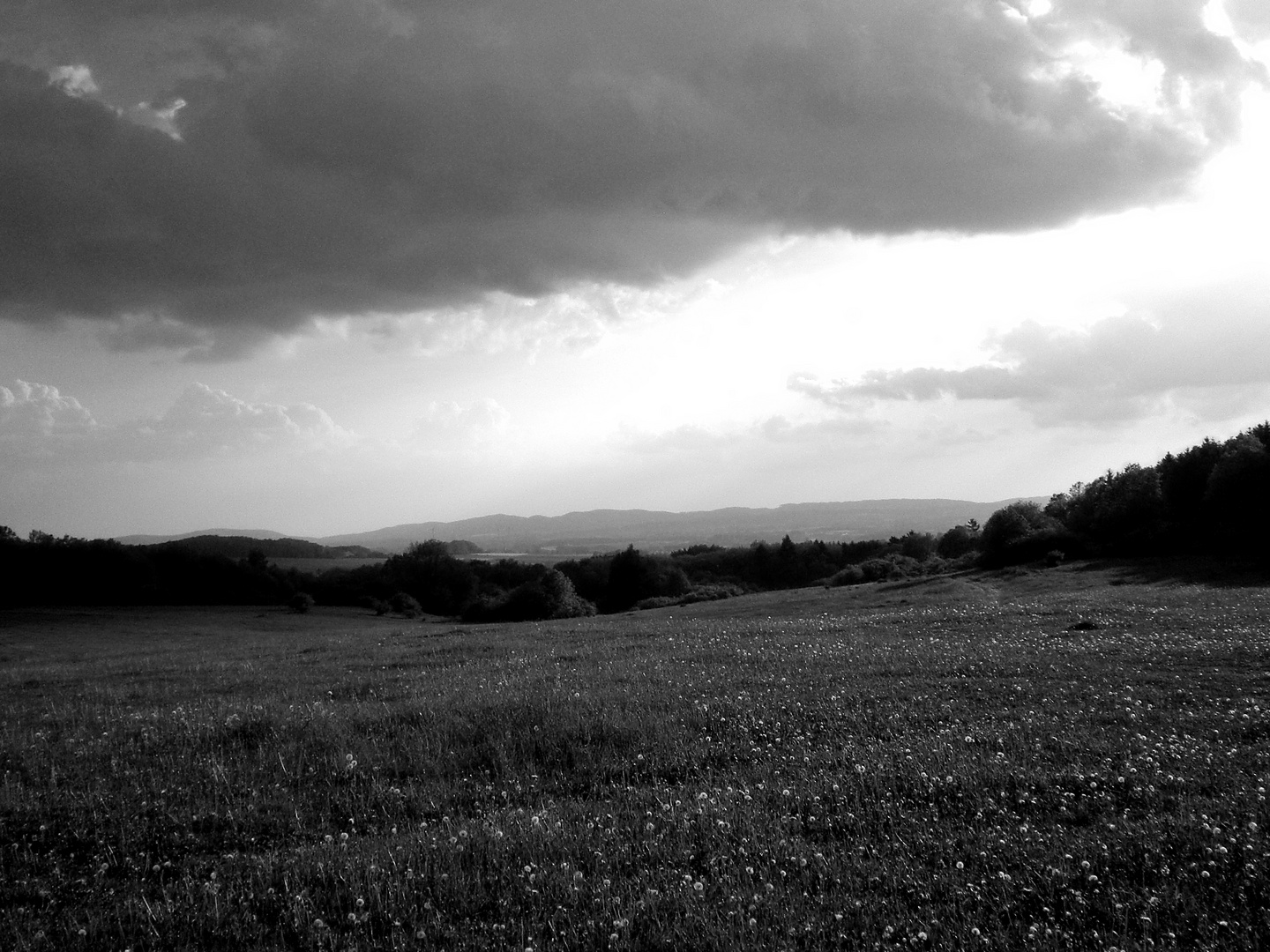 schaumburgs landscape