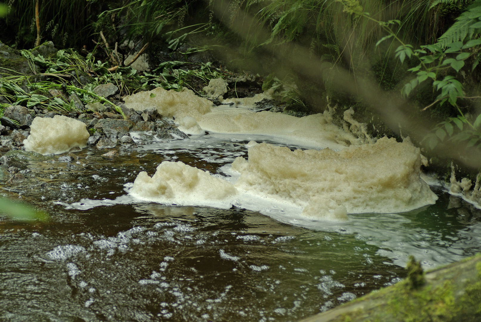 Schaumkronen in der Ravennaschlucht