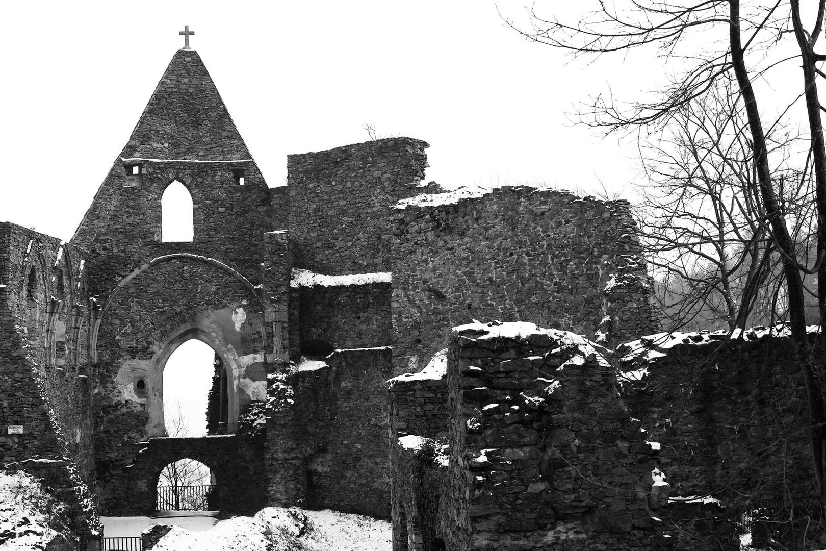 Schaunburg bei Eferding  Ober sterreich Foto Bild 