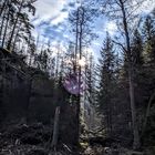 Schaurig kaputter Wald