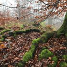 schaurig, schöner Herbst