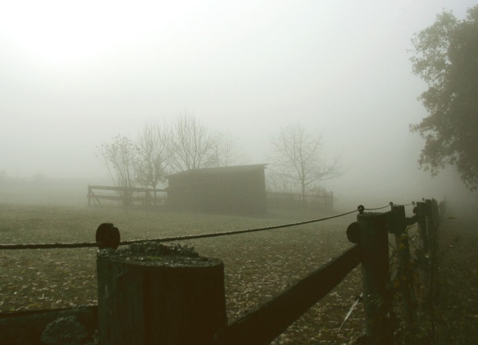 Schaurig, schöner Nebel