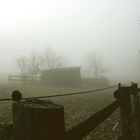 Schaurig, schöner Nebel