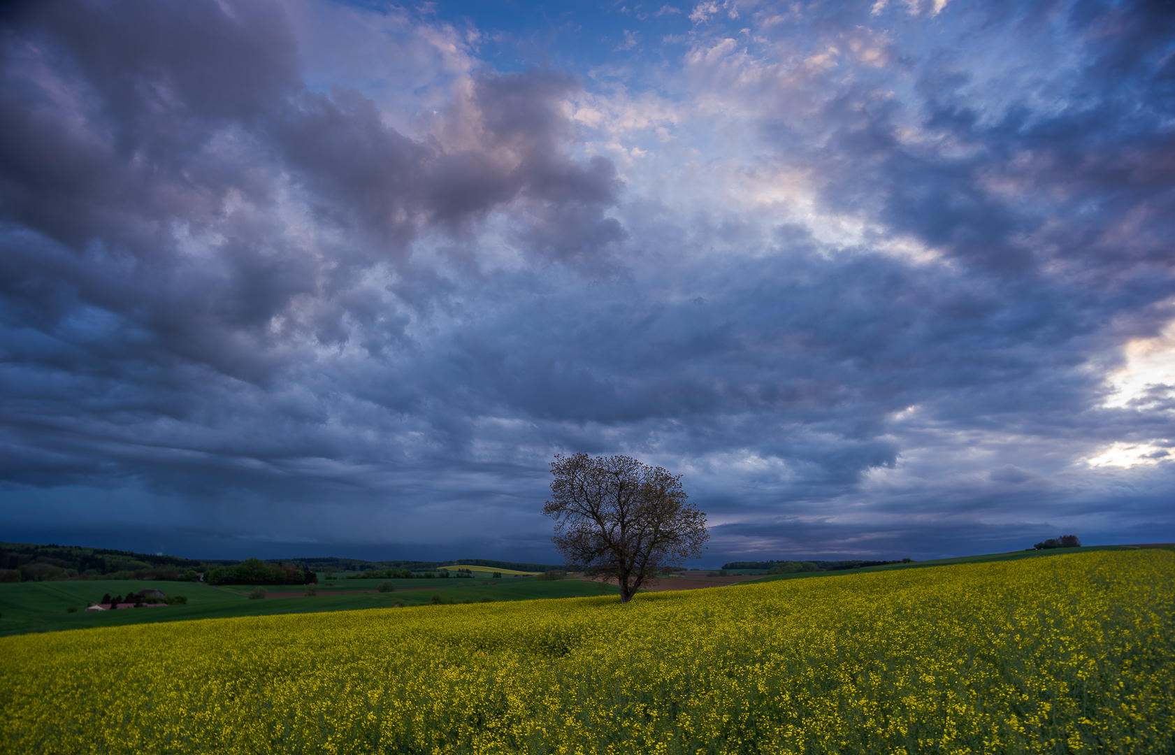 Schauriger Apriltag