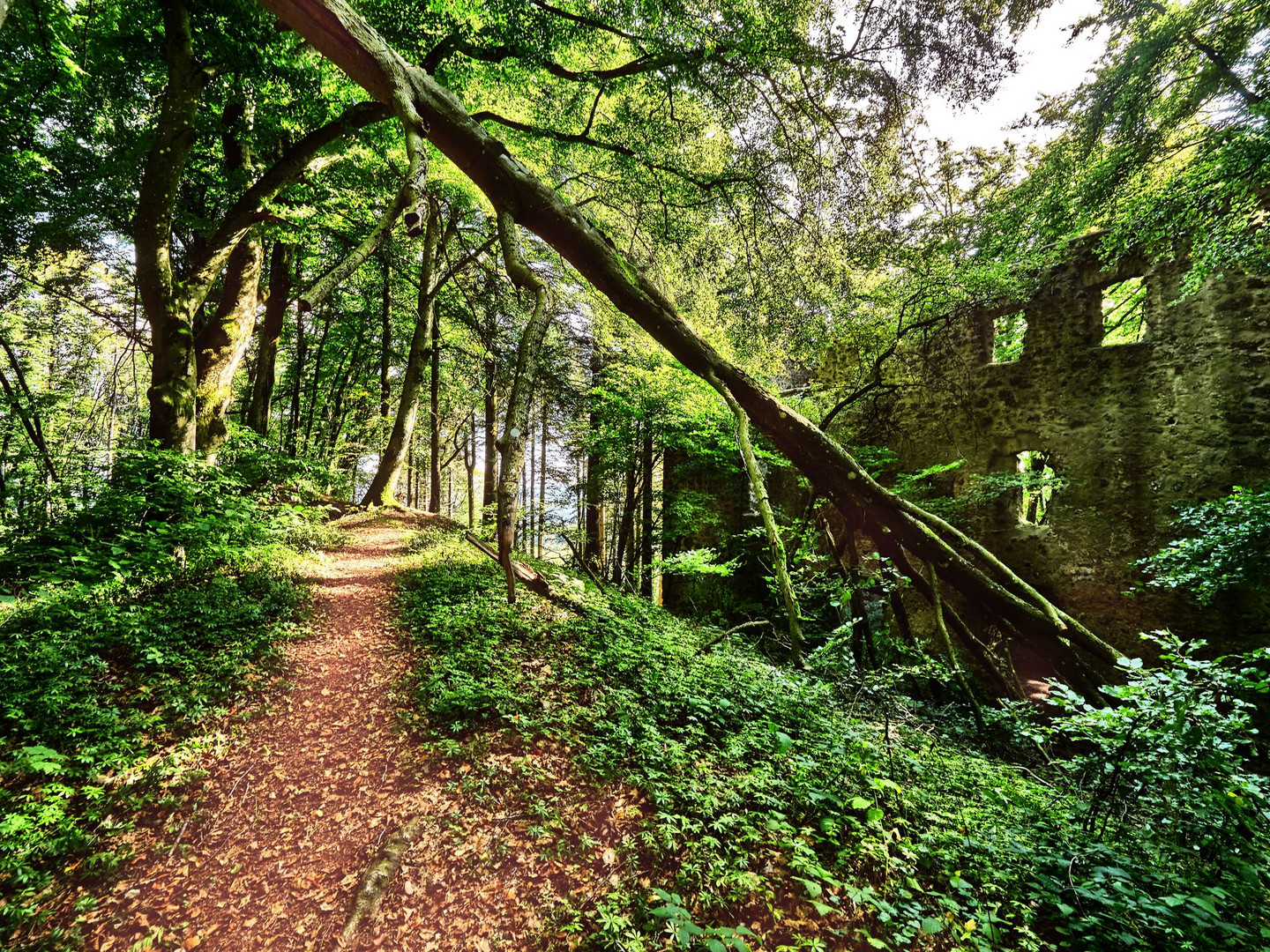 Schauriger Waldweg