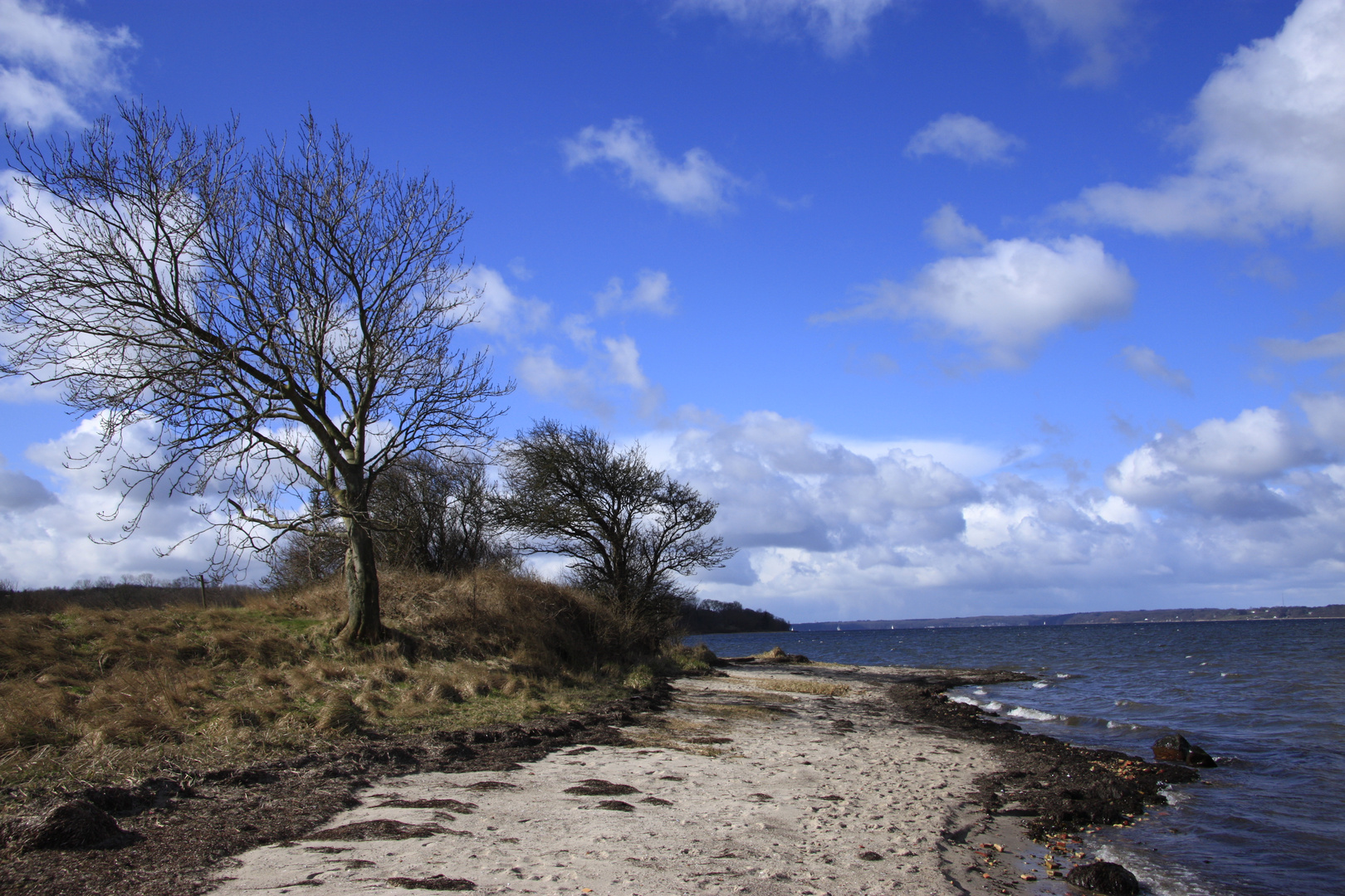 Schausende /Ostsee/ Flensburger Förde