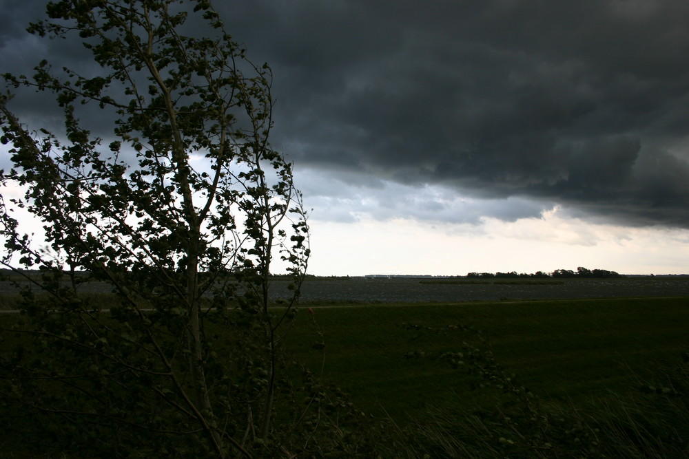 Schauspiel der Natur