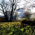 Schauspielhaus im Frühling 2007