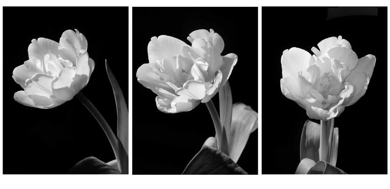 Schaust Du bitte in die Kamera?