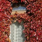 Schaut der Herbst beim Fenster rein