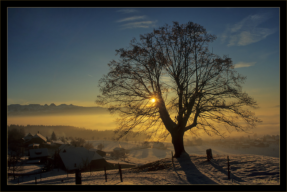 Schaut hervor und geht doch unter ...