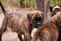 Schaut mal bei den Tierkindern rein, da gibt es mehr von mir und meiner Familie