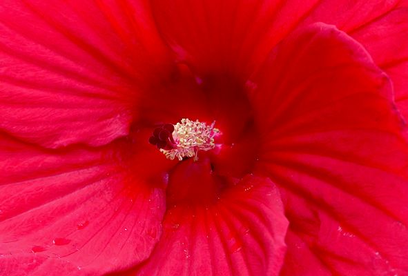 Schaut mit ins Innere