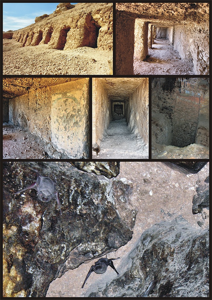 Schech abd el-Kurna - ein weiterer Blick in das Grab Nr.: 76 (MMA Nr. 1120)