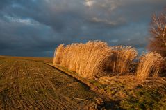 schechtes Wetter und Föneinfluss