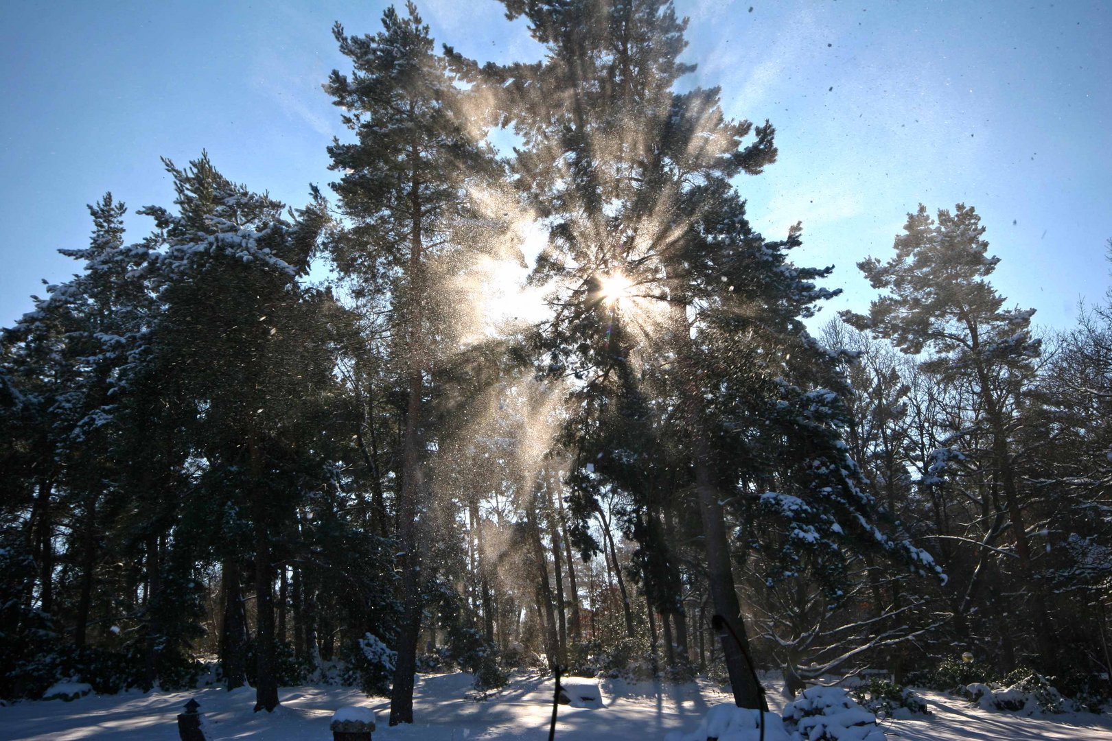 Scheestaub im Gegenlicht