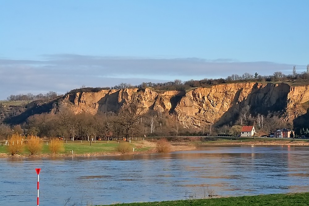 schefe Linkskurve der Elbe bei Diesbar Seußlitz mit Plus 2 Metern Wasserstand