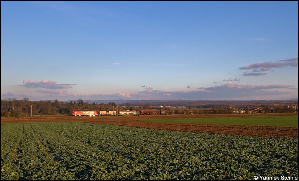 Scheibenbremsen