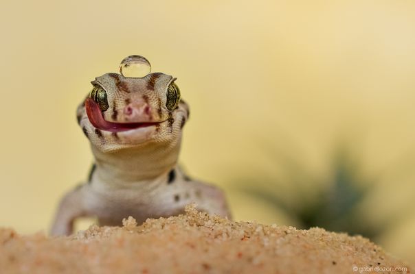 Scheibenwischer an...