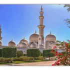 - Scheich-Zayid-Moschee #1 -