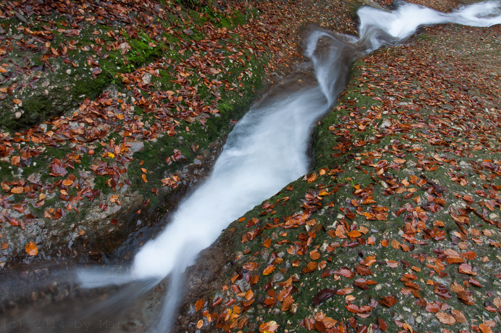 Scheidegger Wasserfälle 1