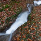 Scheidegger Wasserfälle 1