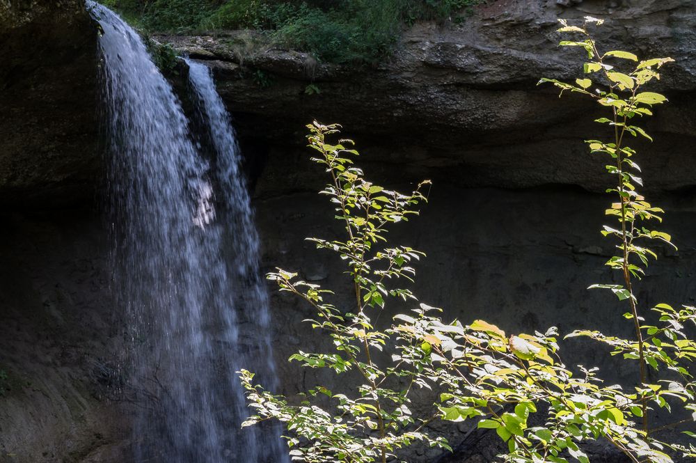 Scheidegger Wasserfälle