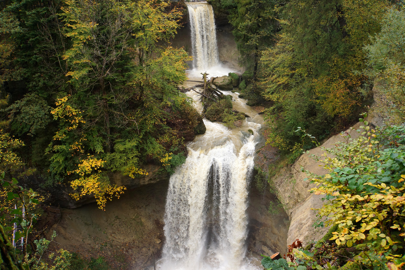 Scheidegger Wasserfall Allgäu
