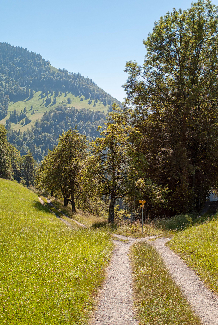 Scheideweg