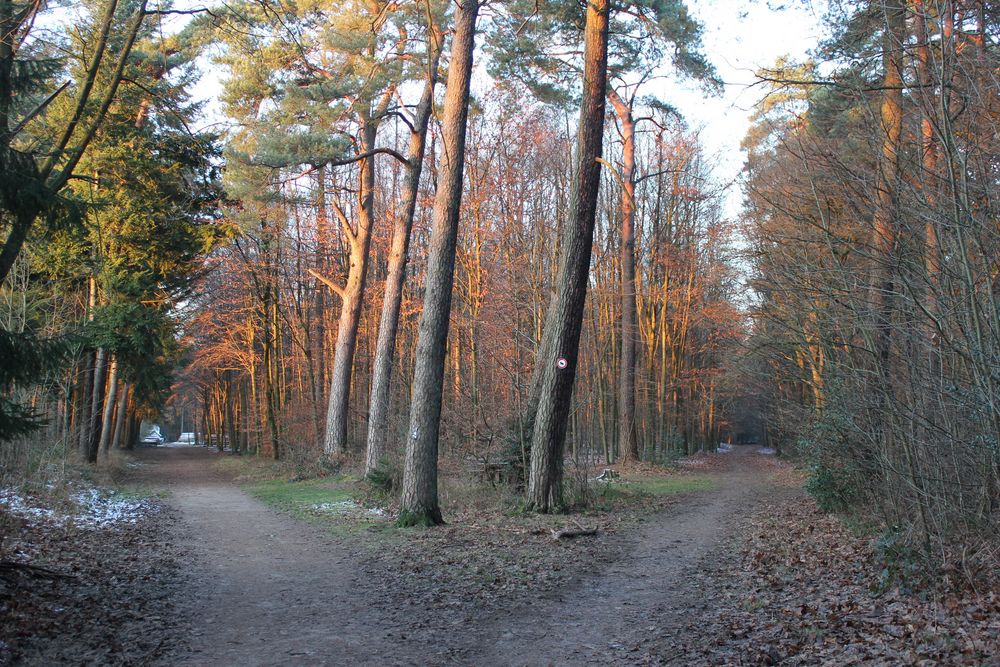 Scheideweg