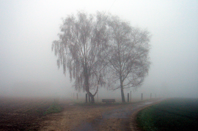 Scheideweg