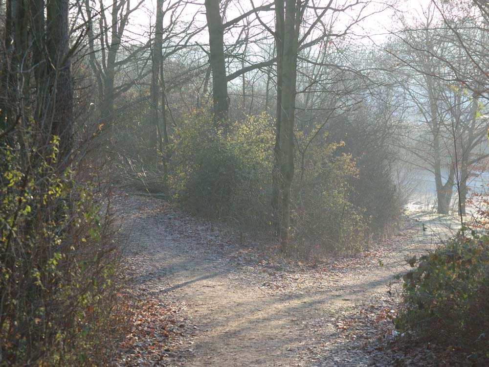 Scheideweg