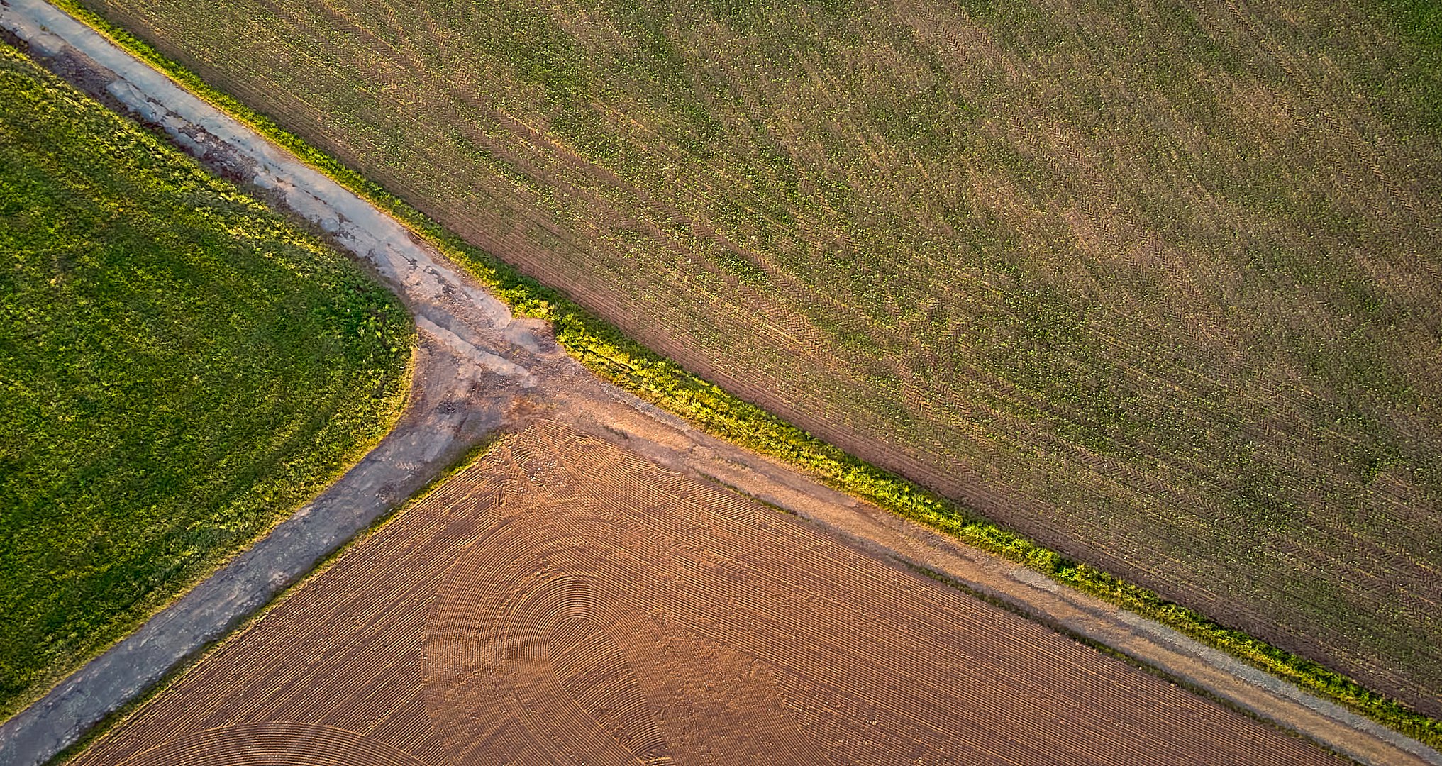 Scheideweg, der Lichtspot auf dem Feld ist von der untergehenden Sonne