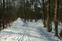 Scheideweg