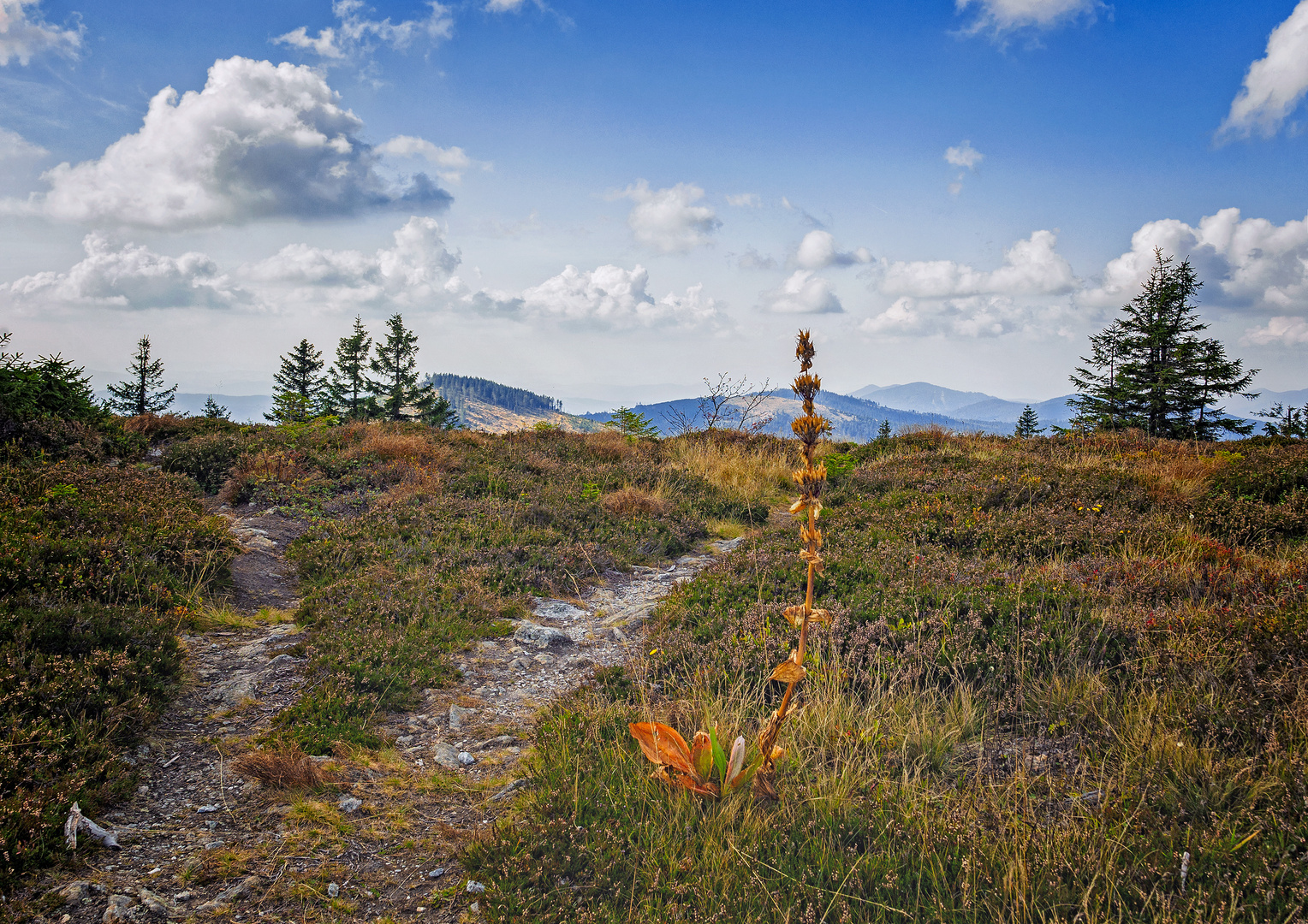 Scheideweg...