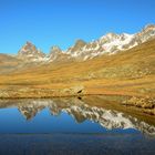 scheidsee