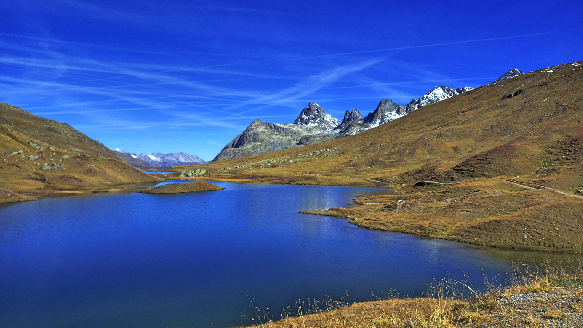 Scheidsee