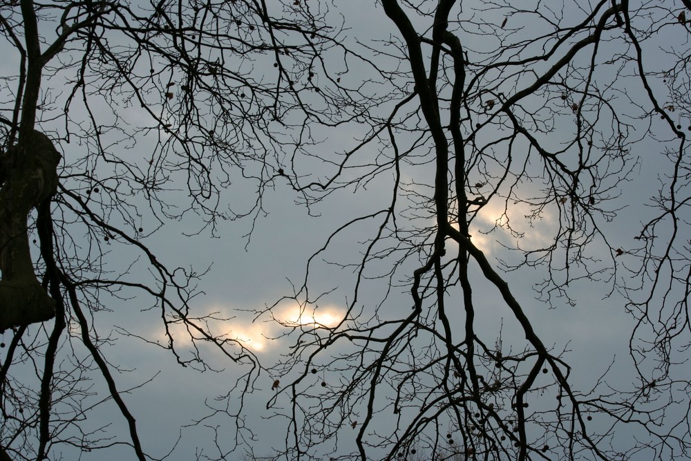 Schein am dunklen Himmel