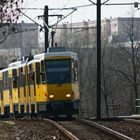 Scheinbar auf Bergtour bzw. an deren Ziel ...