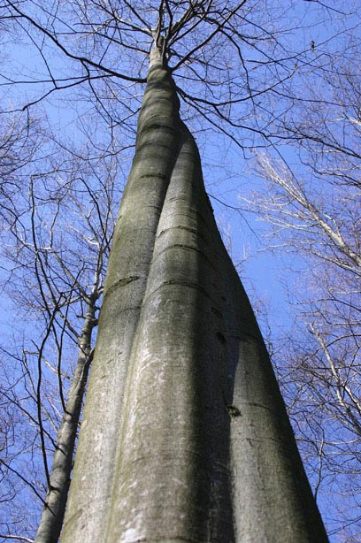 scheinbar unendlich in den Himmel gedreht