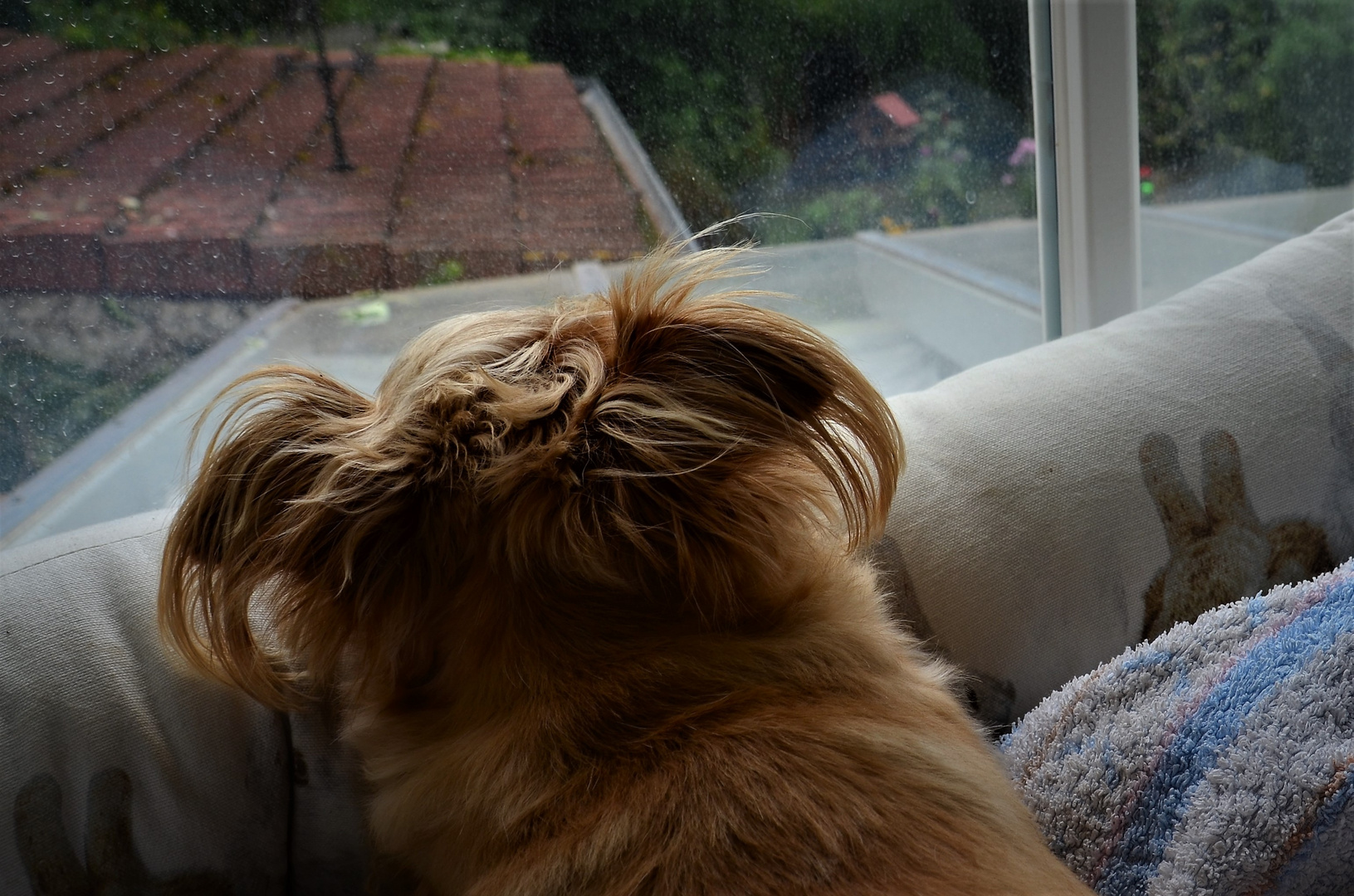 Scheiß Wetter heute.....