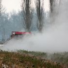 Scheiße auf Schnee