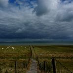 Scheldemündung - das Tor zur Nordsee