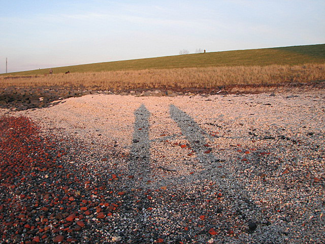 Scheldestrand