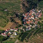 Schelingen am Kaiserstuhl 